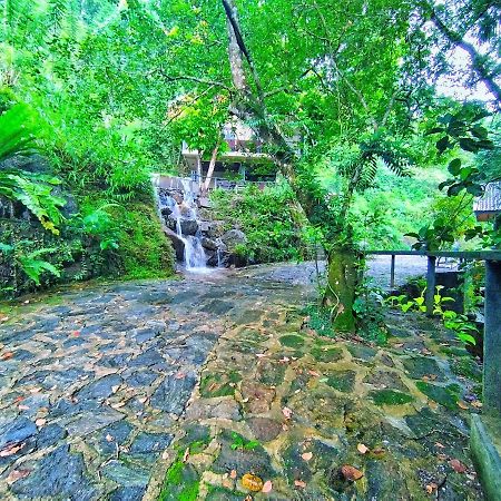 Forest Shade Eco Resort Deraniyagala Exterior foto