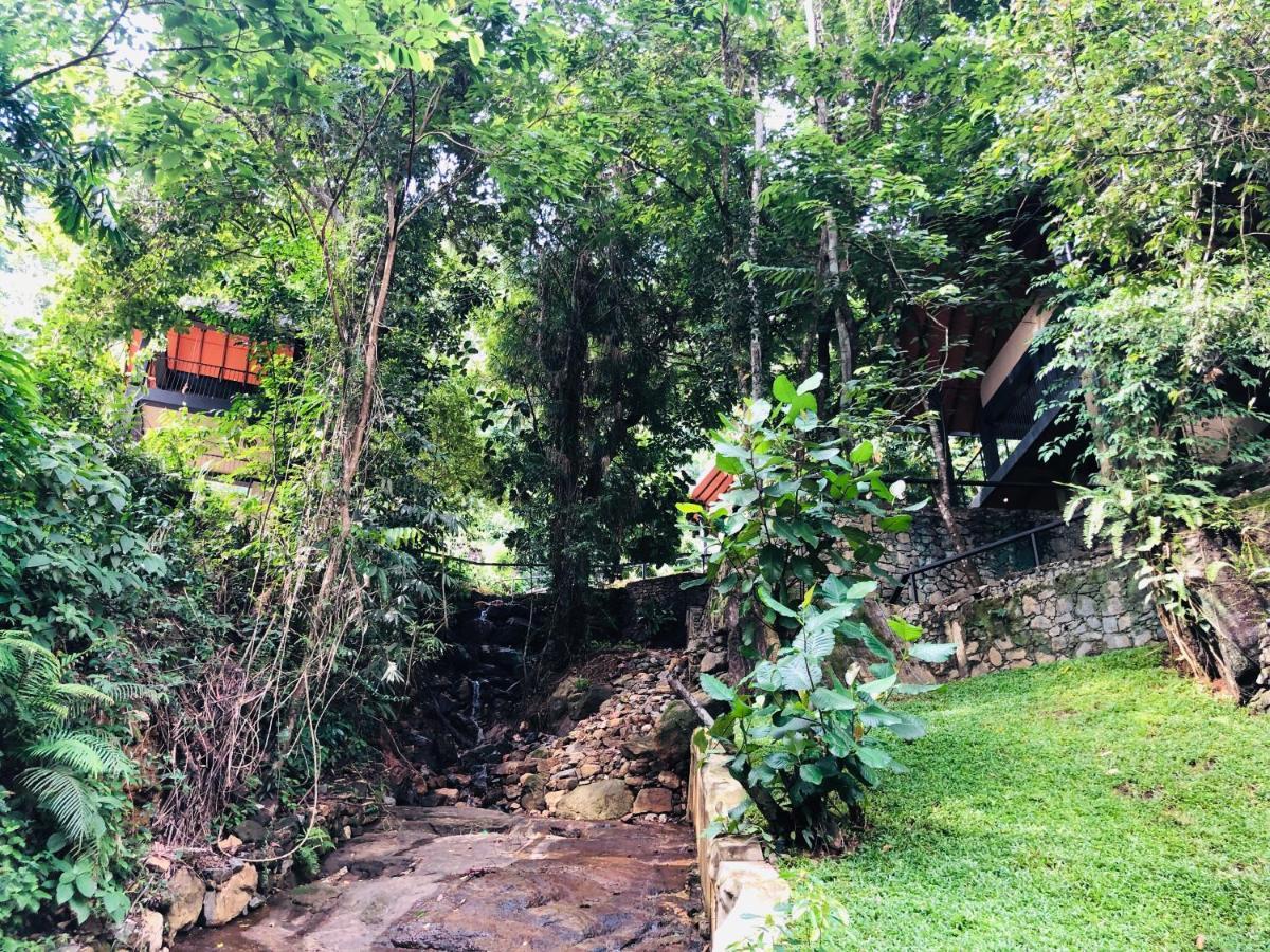 Forest Shade Eco Resort Deraniyagala Exterior foto
